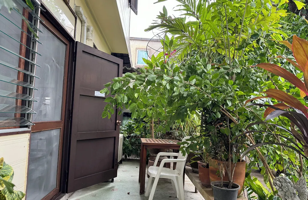 Many Trees-1